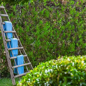 https://villa-olivers-vera.balearic-islands.net